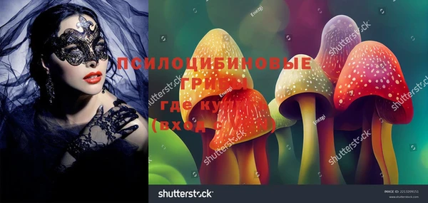 apvp Яровое
